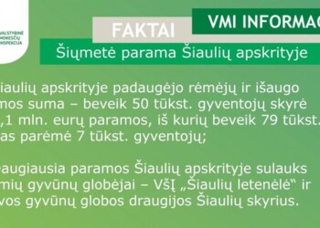 Daugiausia paramos Šiaulių apskrityje sulauks benamių gyvūnų globėjai