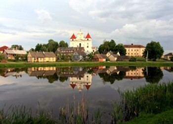 Mobili kelionė po Raseinius su lūšimi
