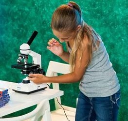 Mugėje „Mokykla 2016“ veiks Jūrų muziejaus laboratorija