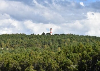 Patvirtinta visuomenės dalyvavimo kraštovaizdžio formavime programa