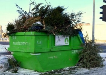 Jubiliejinė akcija „Kalėdinė eglutė – namų šilumai” grįžta ir į Plungę