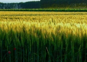 Konkursas Darniojo turizmo skatinimo metams paminėti