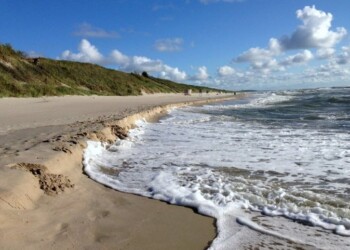 Palanga vėl sukvies Lietuvos vaikus pirmą kartą išvysti jūrą
