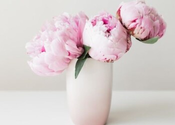 Gėlių pristatymas Vilniuje