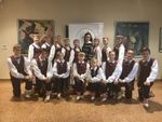 „Lokystos“ pasiekimai tarptautiniame šokių konkurse-festivalyje „Allegro 2017“