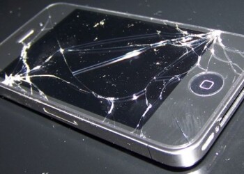 Pirkinių draudimas: ar galima apdrausti katę ir, kas moka už pavogtą daiktą?