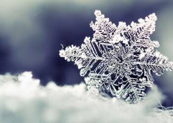 Sinoptiko komentaras