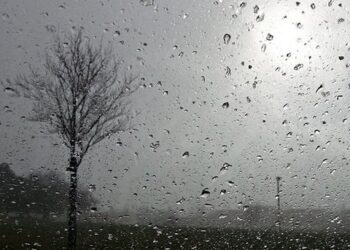 Sinoptiko komentaras