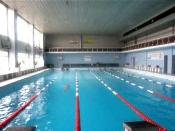 Šiaulių plaukimo mokyklos „Delfinas“ vadovas atšaukiamas iš pareigų