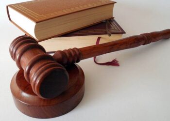 Atliktas tarnybinis patikrinimas dėl Palangos miesto savivaldybės tarybos nario Dano Palucko teistumo