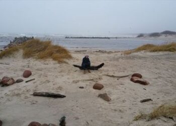 Šventosios jūrų uosto valdymą siūloma patikėjimo teise perduoti Palangos miesto savivaldybei