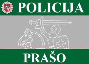 Ieškomas pėsčiąją kliudęs vairuotojas