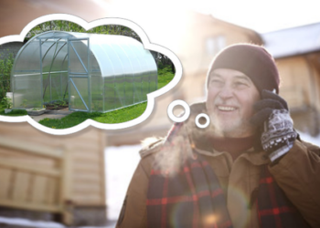 Rogutes ruošk vasarą, o šiltnamį – žiemą..? Kodėl dabar apsimoka pirkti šiltnamį?