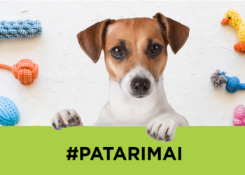 Ko reikia šuniukui: TOP pirkinių sąrašas ir pagrindinės rekomendacijos