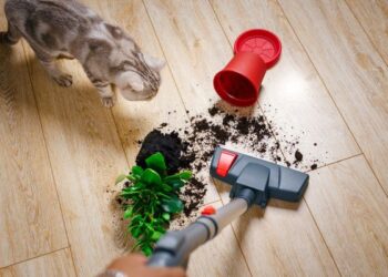 Kaip žinoti, kad jau laikas keisti dulkių siurblį?