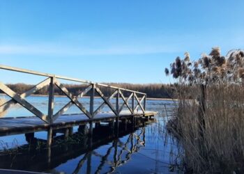 Į žygį aplink Šiaulių ežerus kviečianti gidė: „Šiauliai kūrėsi liūnų ir šlapynių apsuptyje”