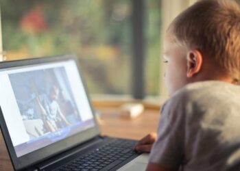 Per 2019 metus – beveik 1000 pranešimų apie neteisėtą ar žalingą turinį internete