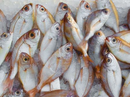 Žuvininkai gali kreiptis paramos žuvų pridėtinei vertei ar kokybei pagerinti
