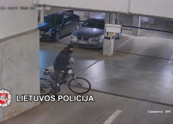 policija Klaipėdoje sulaikė automobilių vagį