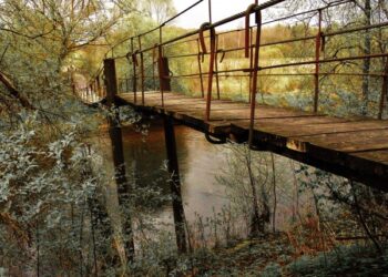 Ryto Radavičiaus foto