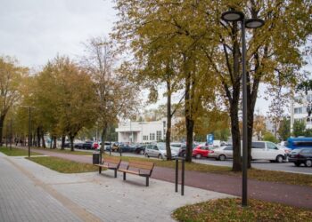 Takas palei Taikos pr. 2