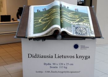 5 Šiaulių netikėtumai: paminklas mokytojui, patranka ir centai ant sienų