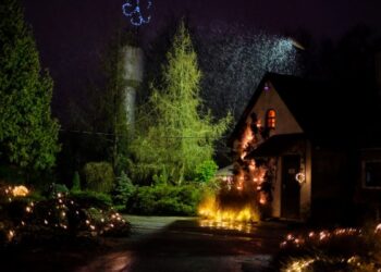 Gruodį šilumą ir jaukumą Botanikos sode kurs žiemojantys augalai, kurių grožį pabrėš šimtai lempučių ir žvakių liepsnelių