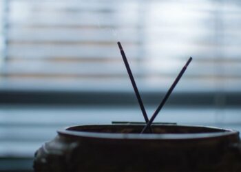 Namų aromatai: kas tiks virtuvei, o kas – vonios kambariui?