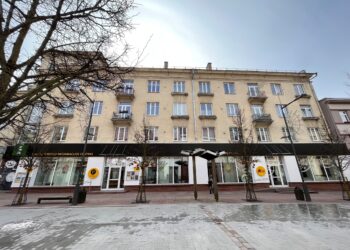 Šiauliuose turizmo atstovai spalvingai papuošė bulvaro liepas