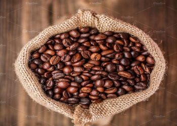 Starteriai traktoriams – išskirtinumai ir kokybė