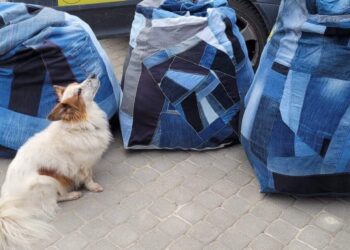 Zero Waste sostinė – Mažeikiai?