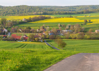 Regioninis verslas – ekonomikos variklis, kuriam trūksta „arklių“