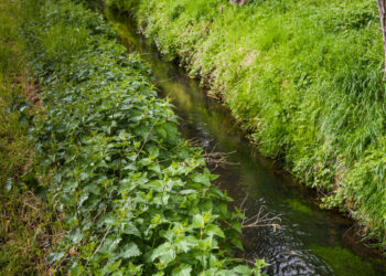 Kur kreiptis dėl melioracijos sistemų naudojimo ir priežiūros