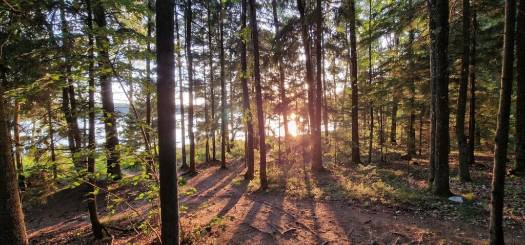 Platelių ežeras