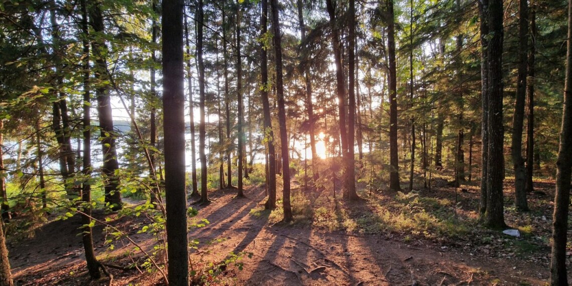 Platelių ežeras