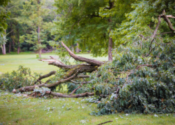 Antros didžiausios audros istorijoje žala jau viršijo 3 mln. eurų