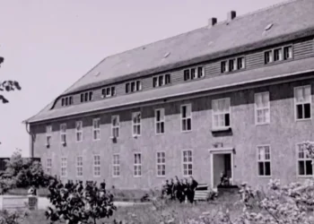 Povilas Plechavičius