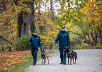 Policija su šunimis