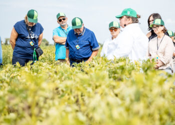 Žemdirbiai ir mokslininkai ieško būdų „prisijaukinti“ klimato kaitą Lietuvoje