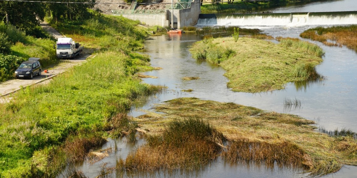 Jūros upės vagoje ir pakrantėje prasideda pernelyg plačiai paplitusios augalijos šienavimo darbai