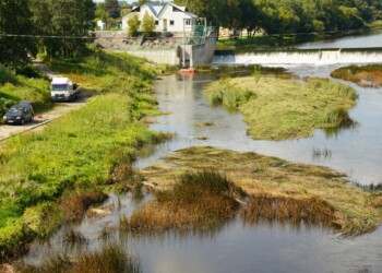 Jūros upės vagoje ir pakrantėje prasideda pernelyg plačiai paplitusios augalijos šienavimo darbai