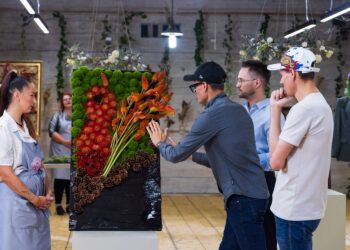 Laidos „Žiedų valdovai“ kadrai