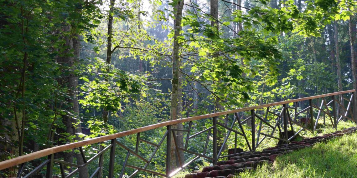 Lopaičių pažintinis takas