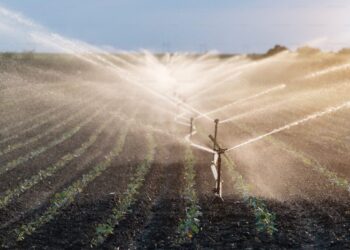 Efektyvus sodų ir vejų drėkinimas: laistymo sistemų tipai, privalumai ir pasirinkimo galimybės