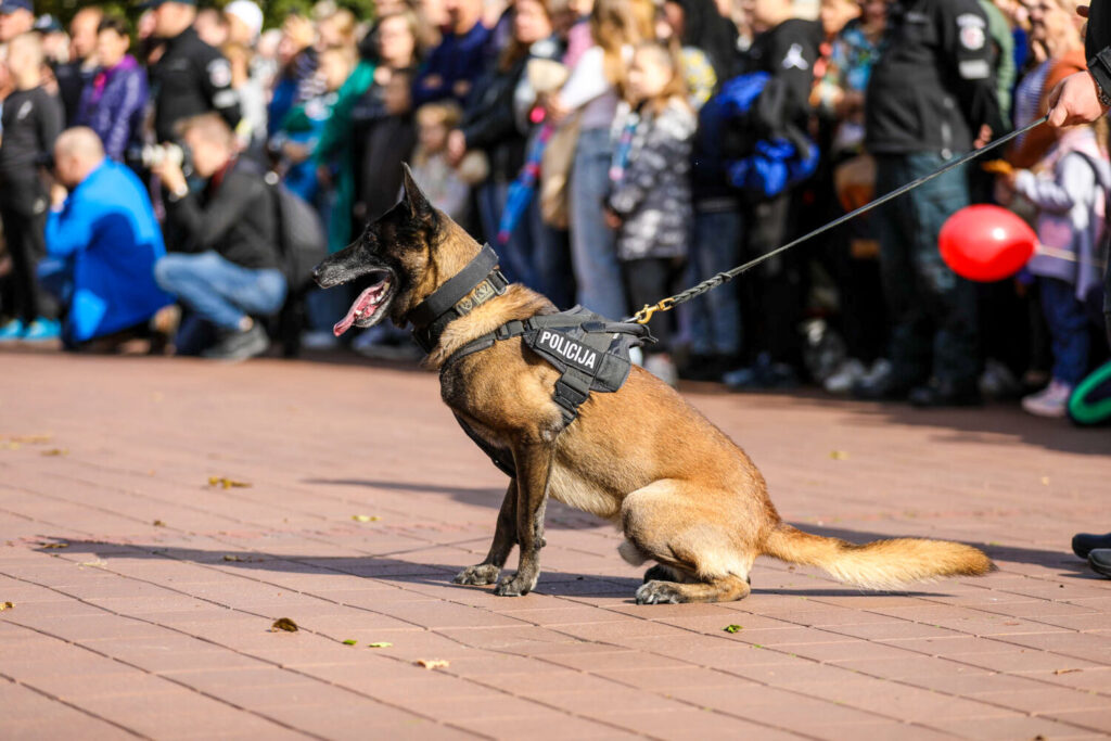 Telšiuose - įspūdinga Policijos ir visuomenės šventė