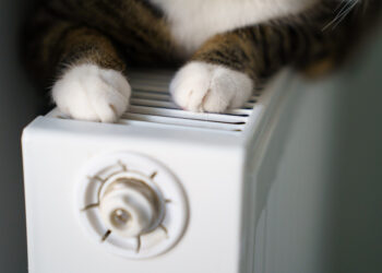 Ir žiemai prasidėjus dar nevėlu pasirūpinti taupesniu šildymu: 10 praktinių patarimų