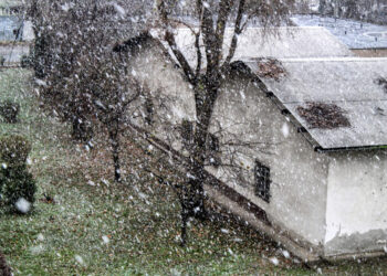 Plūstelėjo žalų kreipiniai dėl audros, nuostoliai gali siekti 350 tūkst. eurų