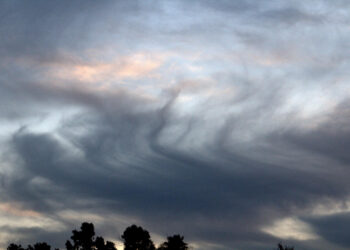 Perspėjimas apie stichinį meteorologinį reiškinį – labai smarkų vėją
