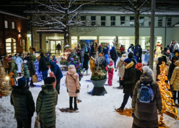 Kalėdų eglučių kiemelis ir šiemet džiugins klaipėdiečius
