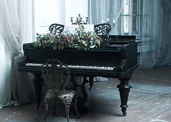 Plungė kviečia į pirmąjį profesionaliosios klasikinės ir populiariosios muzikos festivalį